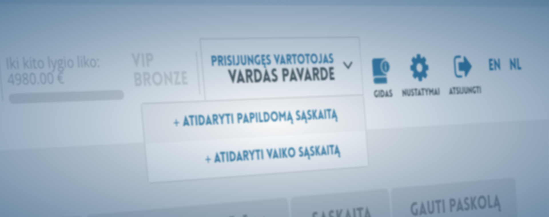 Investicinė sąskaita: kam ji naudinga, o kas nusivils?